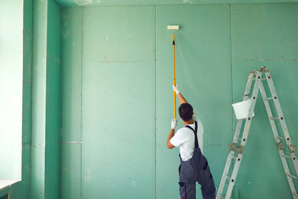 Best Emergency Mold Remediation  in Follansbee, WV