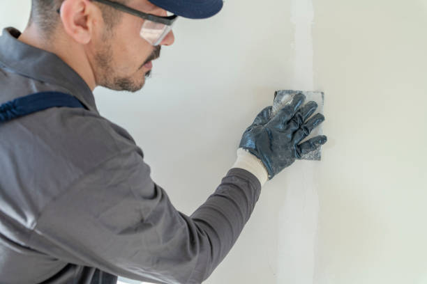 Best Airborne Mold Testing  in Follansbee, WV