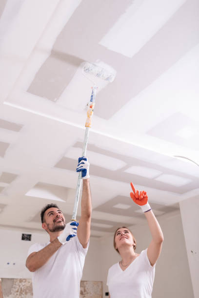 Best Mold Remediation for Healthcare Facilities  in Follansbee, WV