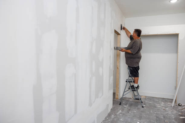 Follansbee, WV Mold Removal Company
