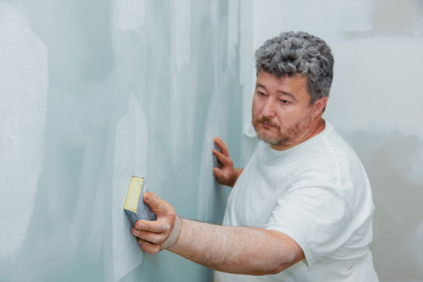 Mold Odor Removal Services in Follansbee, WV