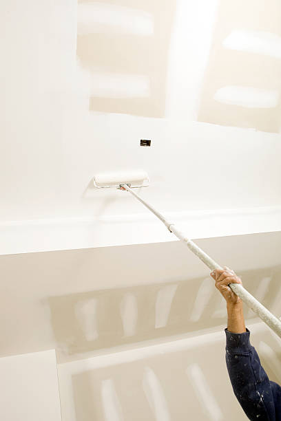 Best Biohazard Mold Removal  in Follansbee, WV