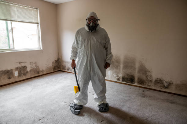 Best Real Estate Mold Inspection  in Follansbee, WV