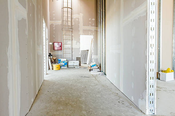Best Mold Damage Restoration  in Follansbee, WV