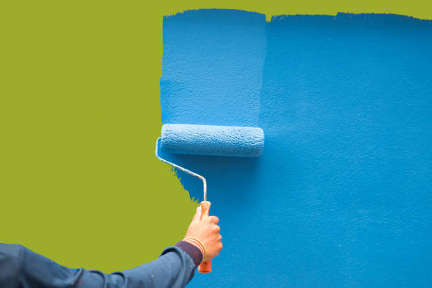 Best Mold Remediation for Vacation Homes  in Follansbee, WV